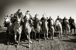 Camargue